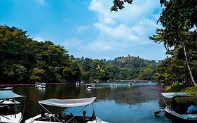 Wayanad Snow Vibes